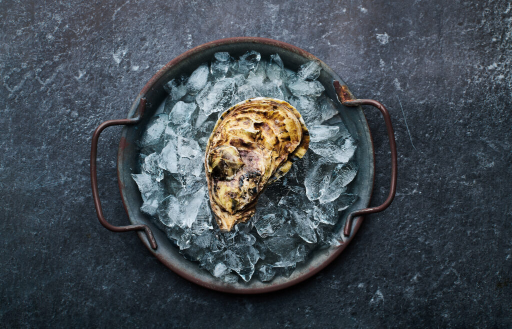 Bet You Never Knew One Oyster Can Clean Up to 50 Gallons of Water a Day