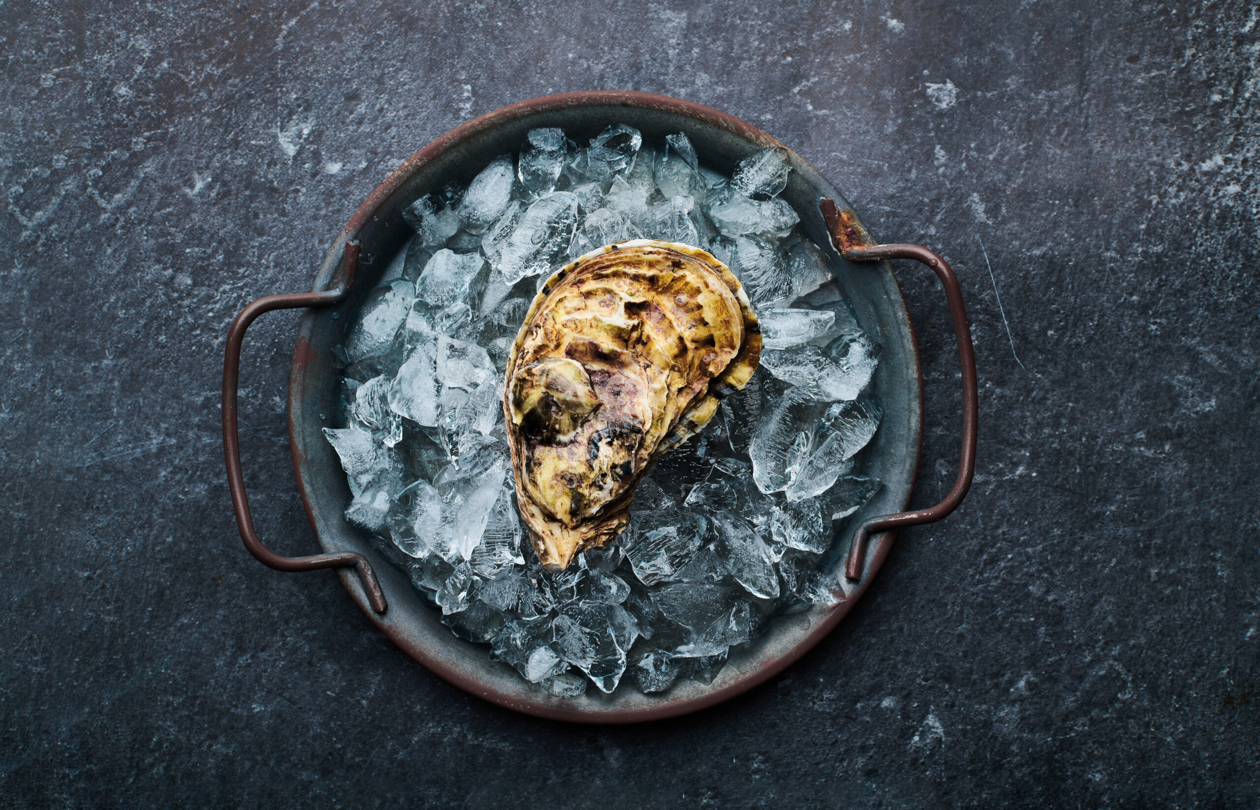 oyster on ice scaled